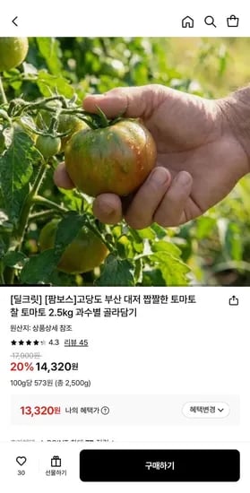 대저 짭짤한 토마토 2.kg (13,320원/무료)5