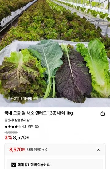 국내산 모듬 쌈채소 13종 1kg (8,570원 / 무배)