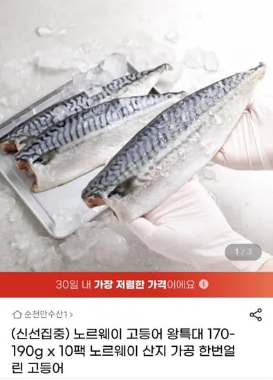 노르웨이 고등어 왕특대 170-190g 10팩 (31,550원/무료)