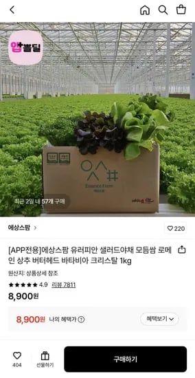 유러피안 샐러드야채 모듬쌈 kg 1