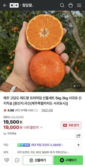 제주도 산지직송 레드향 중소과 2kg