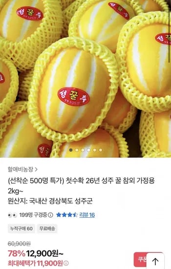 가정용 성주 참외 1kg