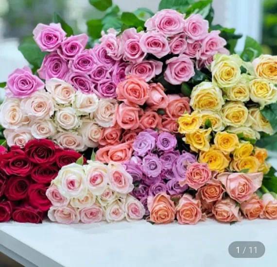 장미 10송이 생화