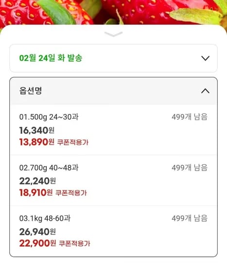 국내산 홍희 딸기 500g 700g 1kg