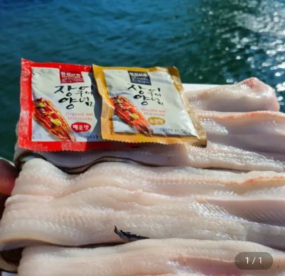 자연산 바다 대장어 1kg