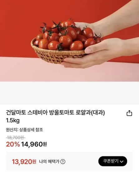 스테비아 대추방울토마토 로얄과 1.5kg