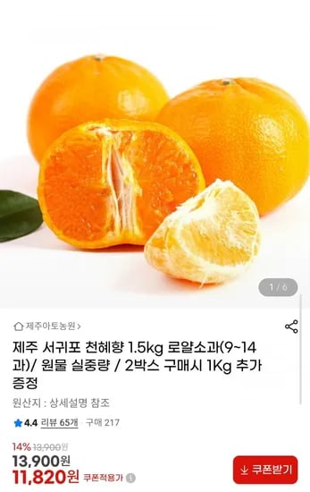 제주 서귀포 천혜향 1.5kg 로얄소과