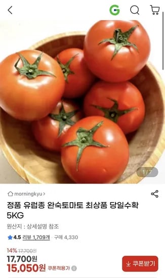 당일수확 완숙토마토 5kg