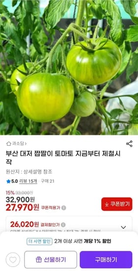 농협인증 부산 대저 짭짤이 토마토 2.5kg
