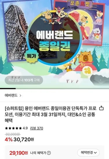 에버랜드 종일권