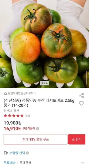 대저토마토 2.5kg 중과 14-20과