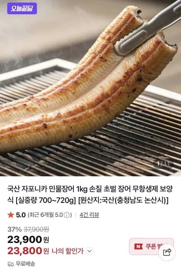 국산 자포니카 민물장어 1kg