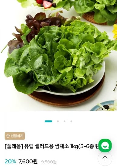 유럽 샐러드용 쌈채소 1kg 5~6종 랜덤