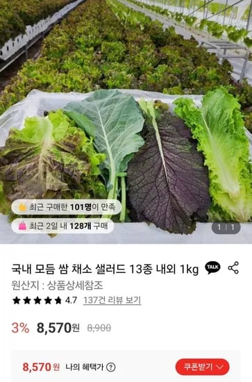 국내 모듬 쌈 채소 샐러드 3종 내외 1kg