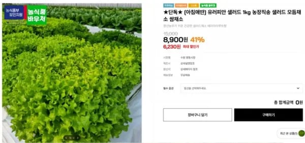 유러피안 샐러드 1kg