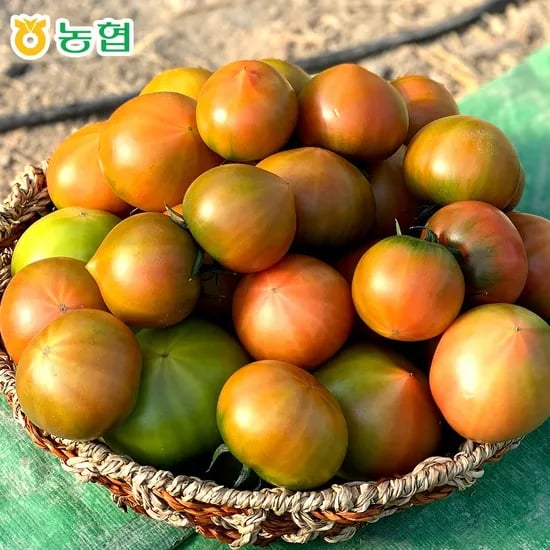 농협 대저 특품 토마토 1kg