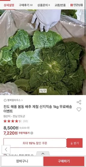 전남 진도 노지 봄동 2kg