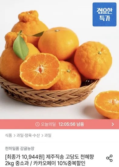 제주직송 고당도 천혜향 2kg 중소과