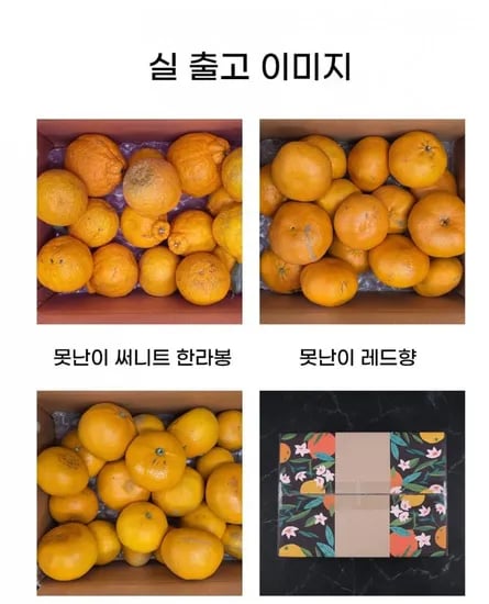 가정용 못난이 만감류 3종 혼합 4kg (레드향/천혜향/한라봉) (17,520원/무료배송)