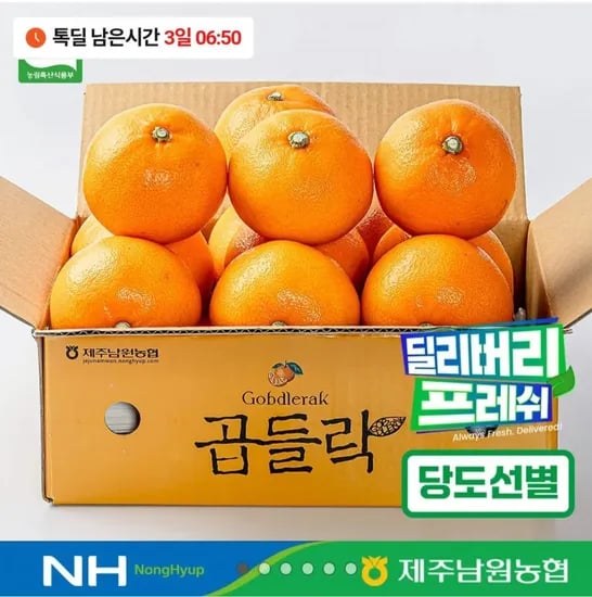 남원농협 곱들락 천혜향 2kg (17,400원/무료)