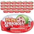 찰떡아이스 라인바싸 외 다양