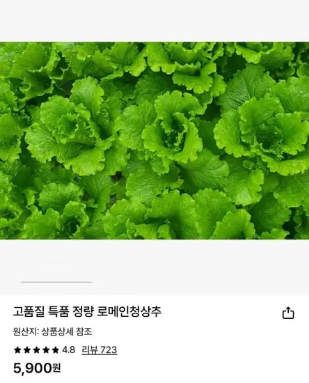 로메인 청상추 1kg (5,900원/무료)