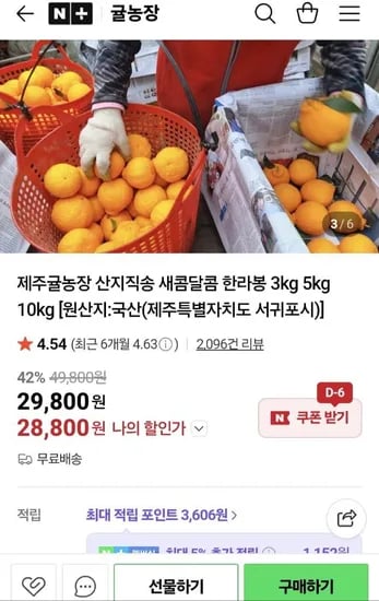 제주 한라봉 중소과 10kg (28,800원/무료배송)