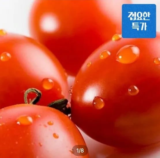 대추방울토마토 2kg (9,405원/무료)