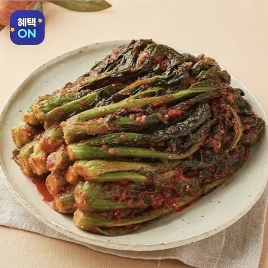 여수돌산갓김치 1.5kg 외 별미김치 모음 (9,600원/무료)