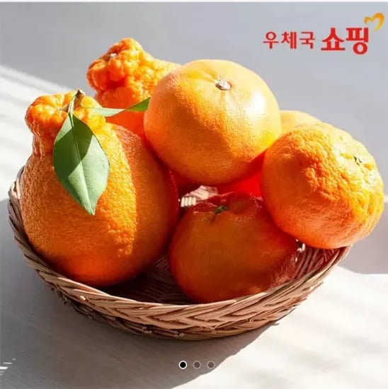 제주 고당도 천혜향 2kg (11,160원/무료)