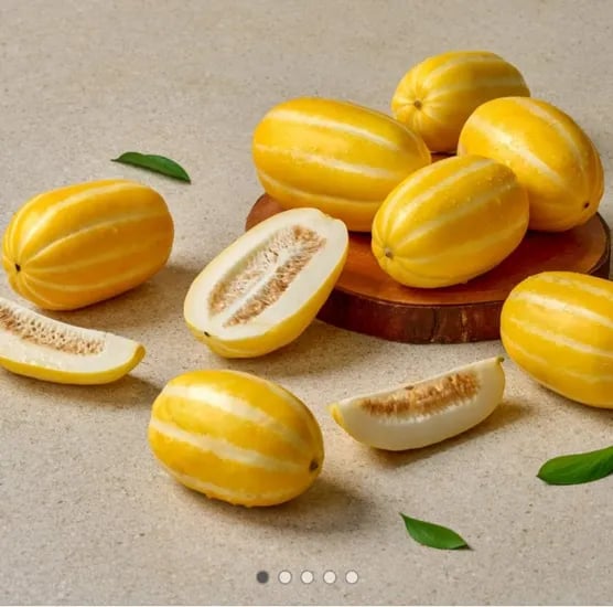 성주 가정용 참외5kg (9,900원/무료)1