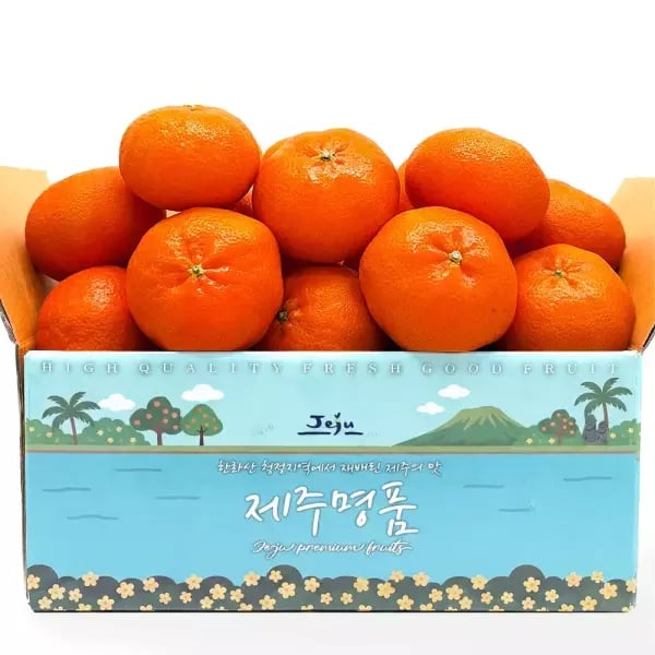 제주 레드향 2kg 로얄소과 (13,900원/무배)