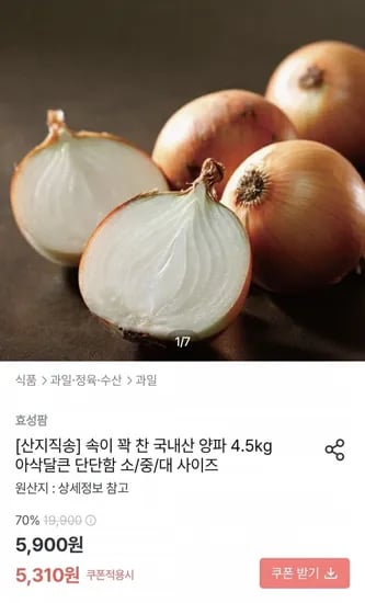 국내산 양파 4.5kg 소 (5,3원/무료)10