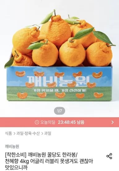 꿀당도 한라봉 4kg (13,911원/무료)