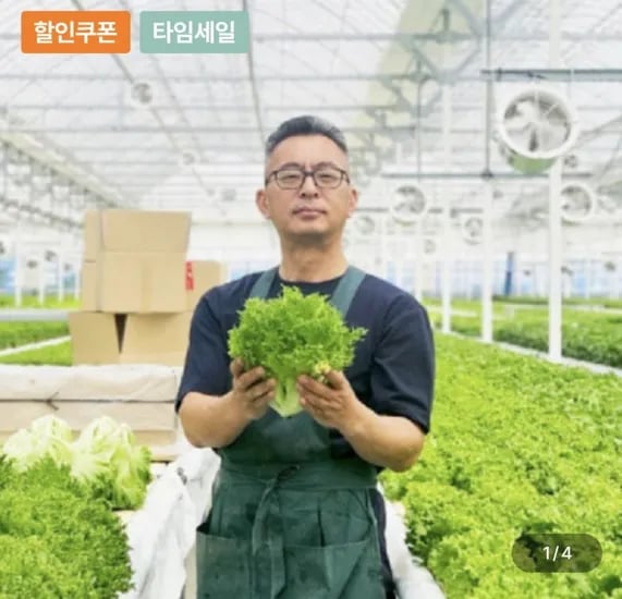 유러피안 샐러드 1kg