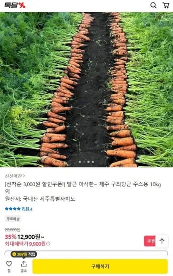 제주 구좌당근 주스용 10kg