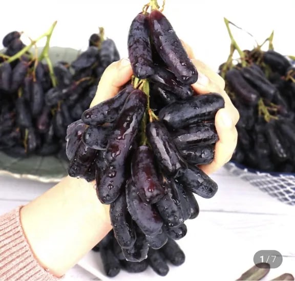 블랙 사파이어 800g (9,900원/무료)