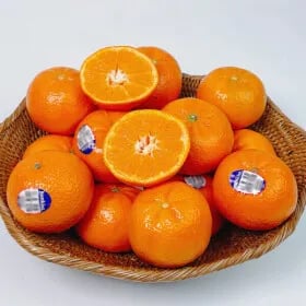 미국산 만다린 귤 특품 블랙라벨 kg (18,990원/무배)3