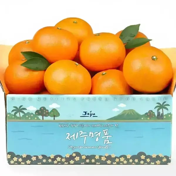 제주 천혜향 2kg 꼬마 (10,00원/무배)9