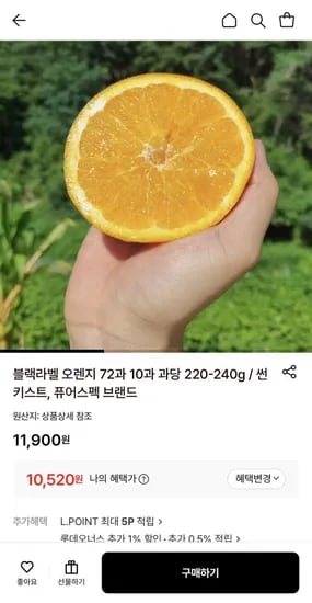 퓨어스펙 블랙라벨 오렌지 대중과 10과 kg (10,520원/무료)2