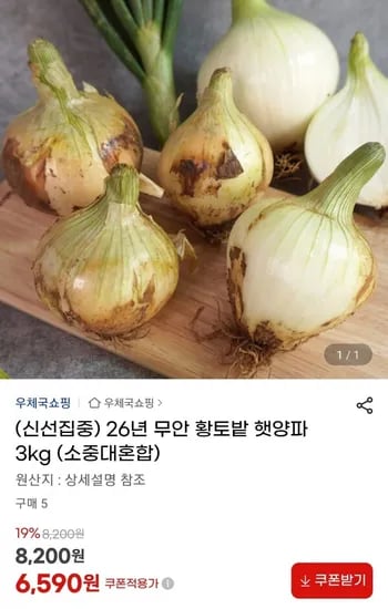 황토밭 햇양파 3kg (6,590원/무료)