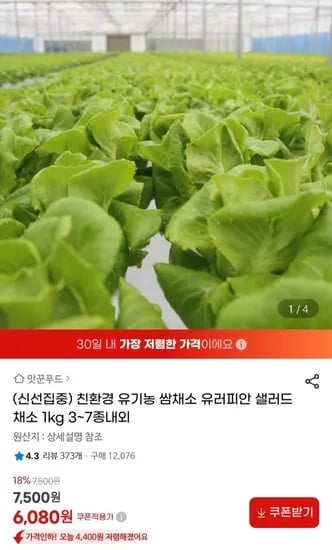 친환경 유기농 쌈채소 1kg ~7종내외(6,080,무배)3