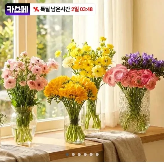 프리지아 30송이 생화 한다발