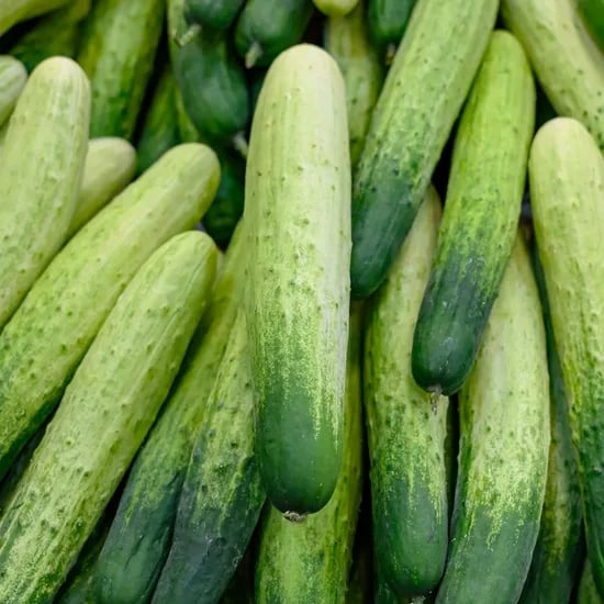 국내산 수분가득 백다다기 백오이 3kg (10,140원/무료)