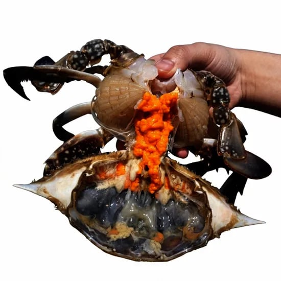 제철 알배기 봄 암꽃게 1kg 3~6미 (23,900원/무료)