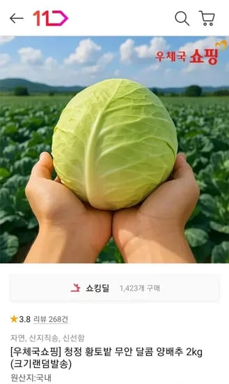 청정 황토밭 무안 달콤 양배추 2kg (4,560원/무료)