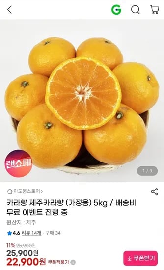 제주 카라향 5kg