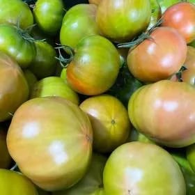 부산대저 토마토 2.5kg 대과~ (유클9,40원/무료)1
