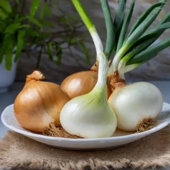 26년 첫출시!! 무안 햇양파 3kg/kg [ 최종가 3,850원/무료배송 ]5
