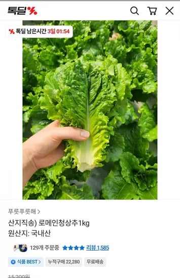 로메인청상추1kg(,900원/무배)4